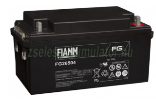12V 65Ah  FG26504 FIAMM